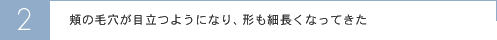 頬の毛穴が目立つようになり、形も細長くなってきた