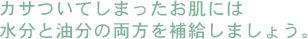 カサついてしまったお肌には水分と油分の両方を補給しましょう。